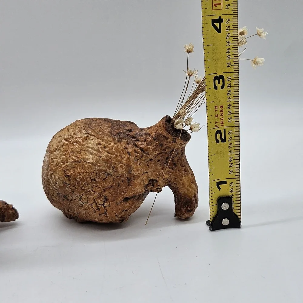 Southwestern Natural Arizona Saguaro Cactus Skeleton Knot Bud Vases Lot of 3